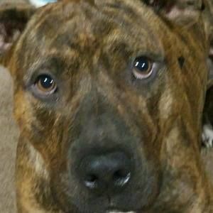 Meet your Posher, Brian w.